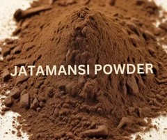 100% ORGANIC Jatamansi RAW Powder (Nardostachys jatamansi (Spikenard)