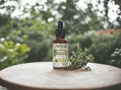 Thyme Tincture – Immune System (Alcohol Free)