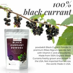 powbab Black Currant Powder – 100% USA Grown Whole Powder (Ribes Nigrum) (6 oz)