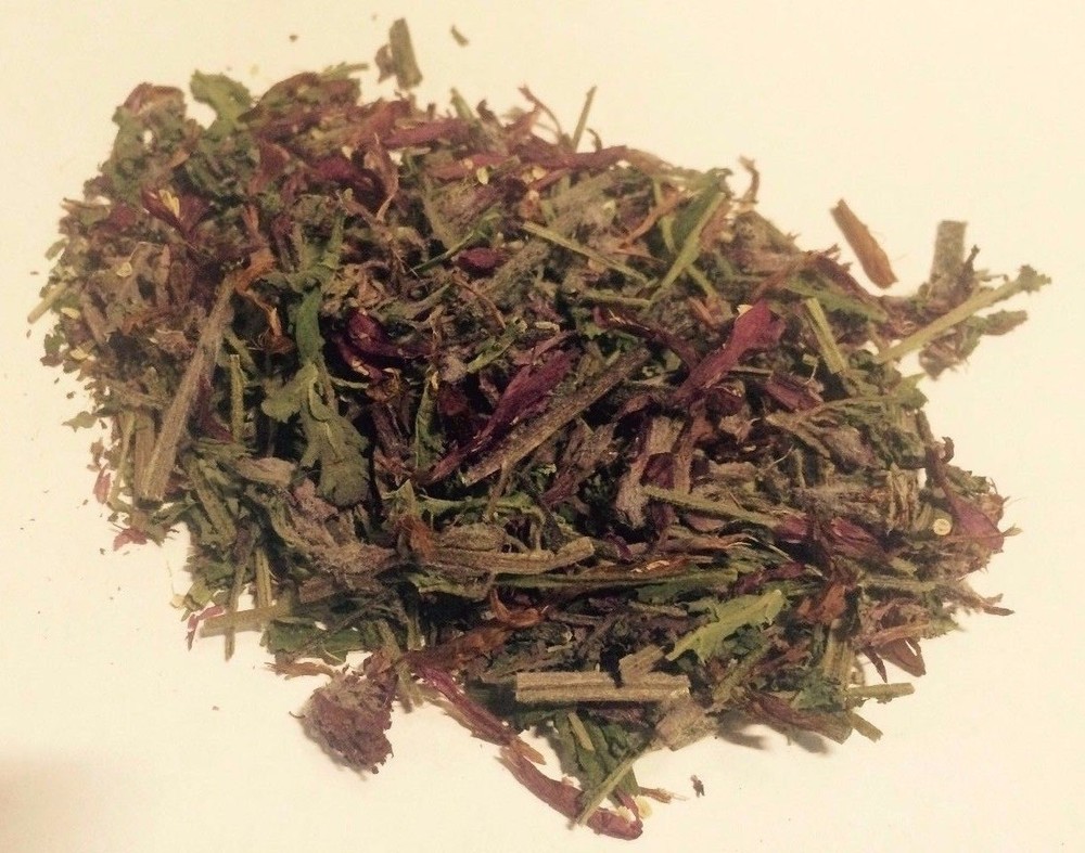 14 grams Indian Warrior Herb (Pedicularis Densiflora) Wildharvested USA