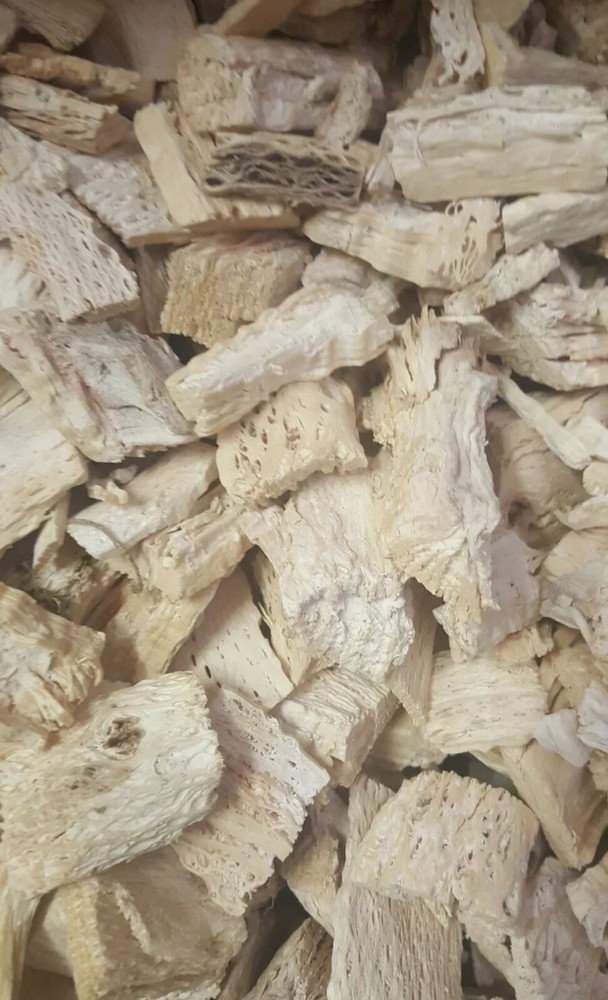 Raiz de nopal 200g
