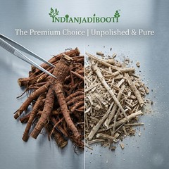 IndianJadiBooti Dandelion Roots | Singhparni Jadd Taraxacum | 250g Herbal Pack