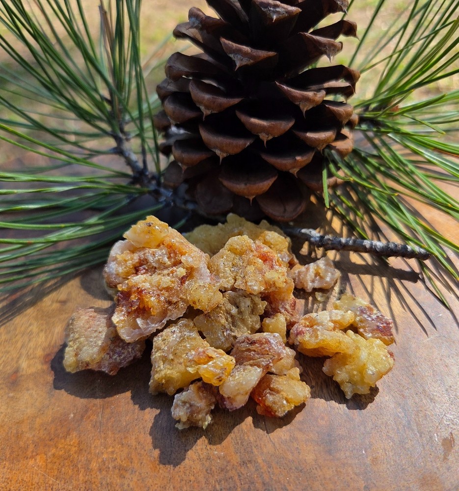 Ponderosa Pine Tree Resin | Handpicked Raw Organic Pine Sap Resin 2oz-16oz