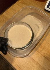 Wild American Ginseng Powder 16.4% Ginsenosides 164 mg/g Lab Tested