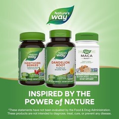 Nature’s Way Dandelion Root – 100 Gluten-Free Capsules for Digestive Health