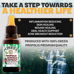 Brazil Green Bee Propolis Liquid Extract No Alcohol 30ML 1 Pack