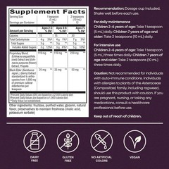 Sambucus Kids Elderberry Syrup 4 fl oz Nature’s Way Immune Support