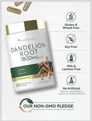 Carlyle Dandelion Root Extract 300 Capsules Taraxacum Officinale Non-GMO