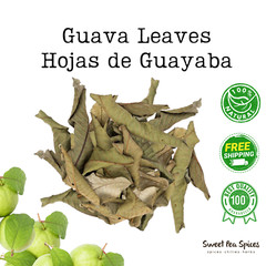 Hojas de Guayaba – Bulk – Guava Leaves Tea – Organic – Dried Guava Leaf