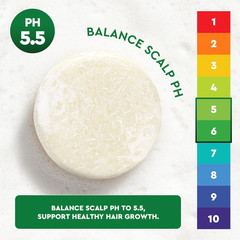 Ginger & Tea Tree Bar Shampoo and Conditioner, for anti Hair Loss, Promote Hair