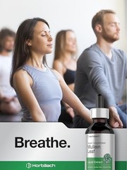 Mullein drops for Lung, Mullein Leaf Extract, Super Concentrated Tincture