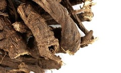 WholeSALE!! Wildcrafted Osha Root PREMIUM Dried Whole-4 oz, 1 lb.