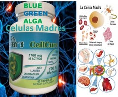 Madre Cell Vital Plus Celulas Madres Biomatrix Biotrix Alga bacterium cell