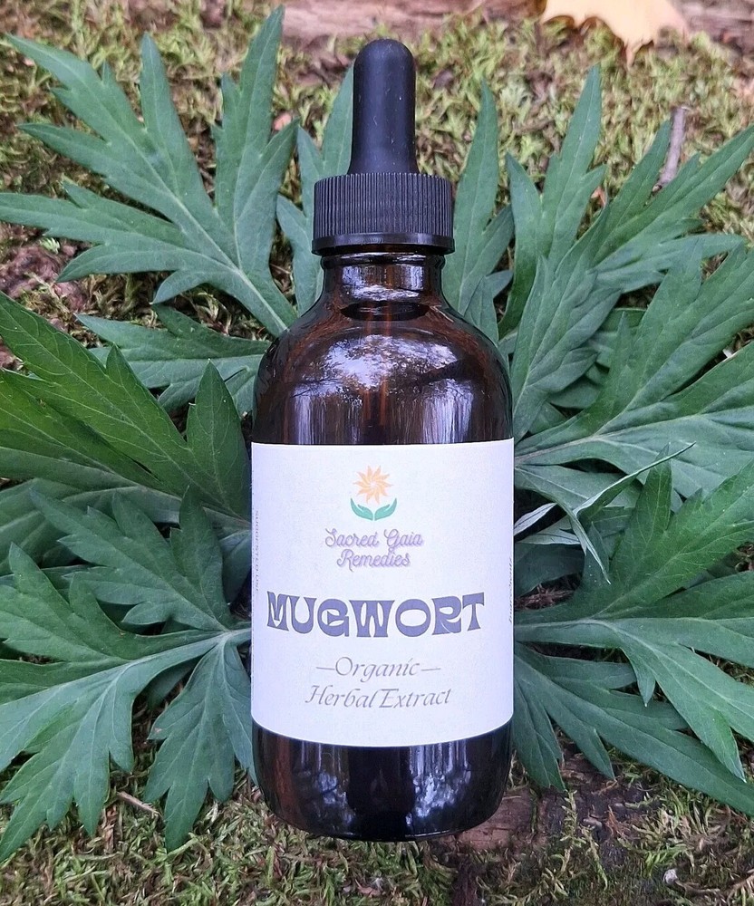 Mugwort Tincture, Herbal Extract, Double Extract, Dream Herbs, Relax, Digestion