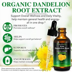 60ML Dandelion Root OIL Tincture Organic | Digestive, Respiratory, Alcohol-Free