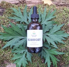 Mugwort Tincture, Herbal Extract, Double Extract, Dream Herbs, Relax, Digestion