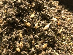 No.32 Herbal Blend Mix – Ginger Jasmine Wild Lettuce Skullcap +Plus Other Herbs!