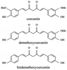 CURCUMIN 95% + PIPERINE 95% Extract Powder Bioavailable Curcumin Extract