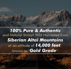 SHILAJIT 1.7oz & Red PANAX Ginseng Extract 12 yr old Roots 6000mg x4 120 Bottles