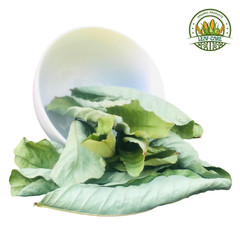 Sun Dried Cassia Alata Leaves Natural Skin Care Herbal Ayurvedic Senna Alata