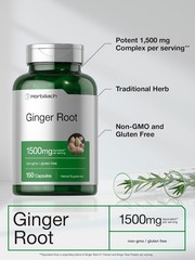 Horbäach Ginger Root Capsules 1500 mg | 150 Pills | Non-GMO, Gluten Free |…