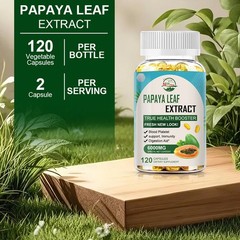 Papaya Leaf Extract Capsules – 600mg – 120 Count – Platelet & Digestive Support