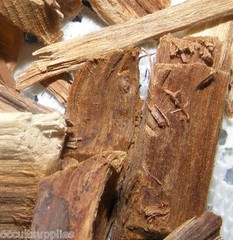 PALO AZUL (BLUE STICK) or KIDNEY WOOD – Famous Detox Herbal Remedy!