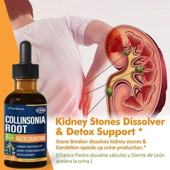 Collinsonia (Stone Root) Drops for Urinary Tract Health, Natural Herbal Formula