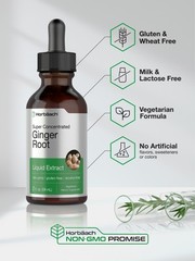 Ginger Root Liquid Extract | 2 fl oz | Alcohol Free | Vegetarian | by Horbaach