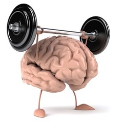 brain booster – BRAIN & MEMORY BOOSTER COMPLEX – energy supplement for women