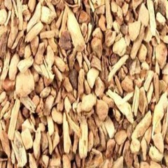 SARSAPARILLA ROOT 100% Pure Fresh Powder The Freshest It Can Be 100 V Capsules