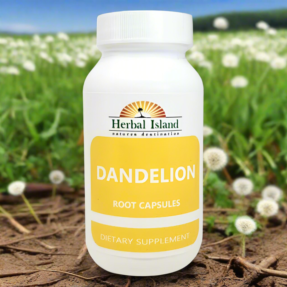 Dandelion Root Powder Capsules (500mg)