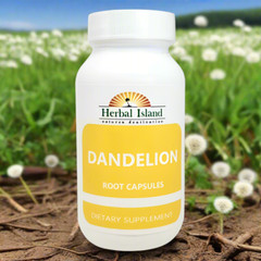 Dandelion Root Powder Capsules (500mg)