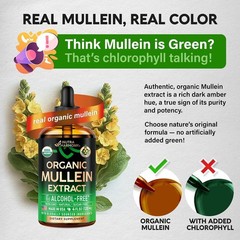 Mullein Drops for Lungs – Organic Mullein Leaf Extract – 4 oz