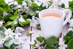 Jasmine Flower Whole | Organic Non-GMO | Calming Aromatic Herb | 1/4/8 oz Sizes