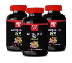immune support supplement – Astragalus Root Extract 3B – cleanse and detox
