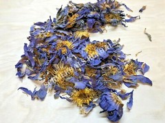 1 oz Organic Blue Lotus, N. caerulea, Whole Siamese Dream™ ~ Schmerbals Herbals