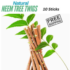 Neem Tree Twigs Natural Neem Datun Organic Toothbrush – 10 Sticks, 10CM Long
