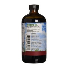 Chlorophyll with Spearmint 16 Oz 100 Mg