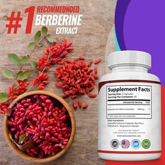 Berberine HCl 1800 MG Premium 90 CAPSULES- (Non-GMO, Gluten Free Vegetarian)