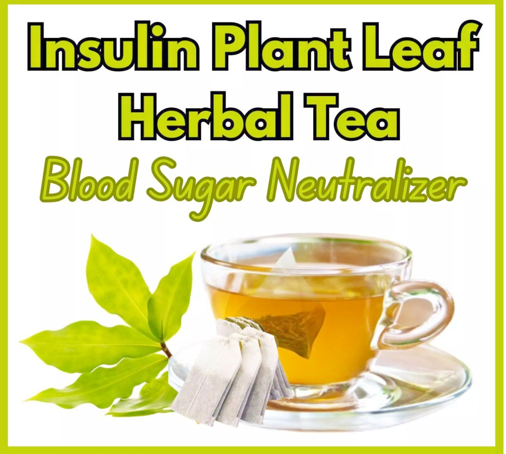 Natural Insulin Plant Leaf Tea Bags Costus Igneus Diabetic Herbal Organic Powder