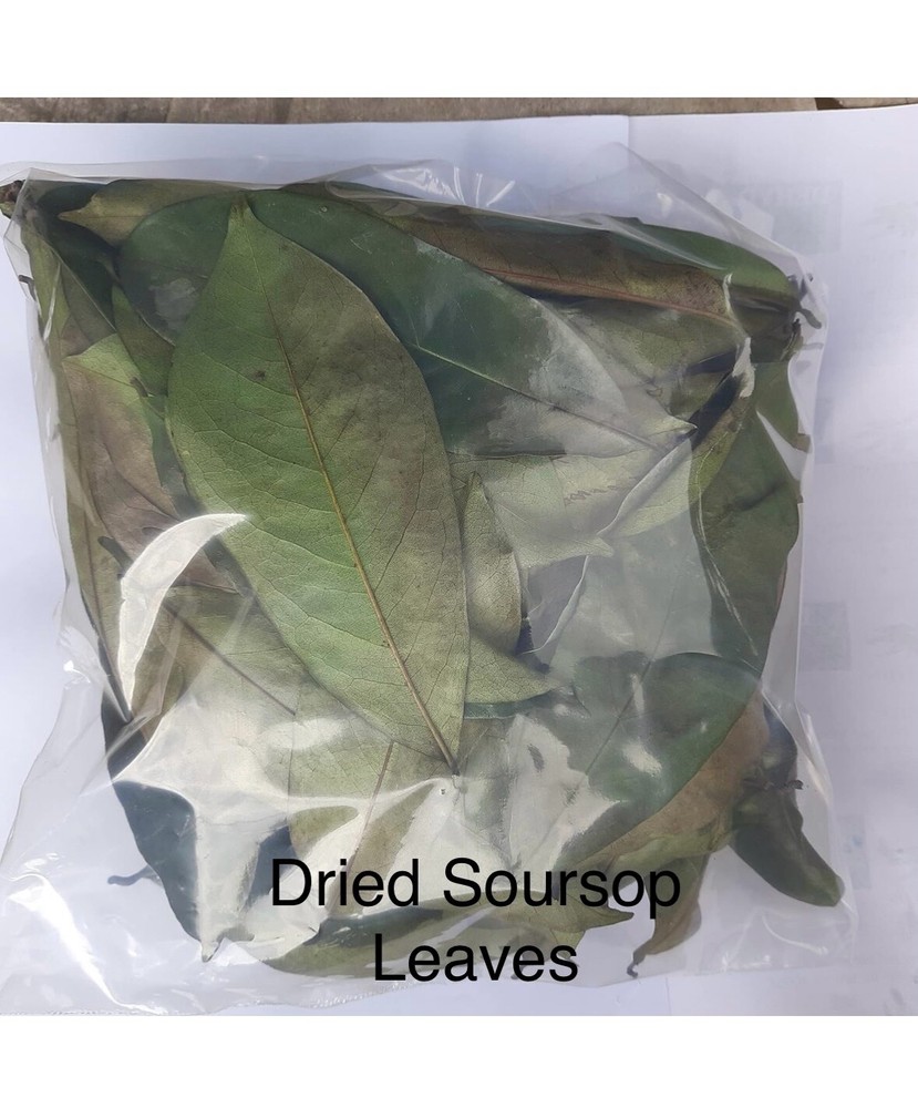 Soursop leaves, soursop leaf – 3.5 oz – Natural organic graviola leaves for tea