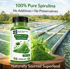 100% Spirulina Powder | Nutrient-Rich Superfood | No Additives | 100 g