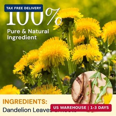 Dandelion Leaf & Root Herbal Tea-Caffeine-free, 50 Teabags | Dandelion Tea Bags