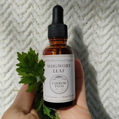 Organic Mugwort Tincture Fresh Artemisia Vulgaris Herbal Extract 1oz Bitter