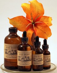 GOJI BERRY Handcrafted Antioxidants High Immunity Potent TCM FOLK Tincture ~
