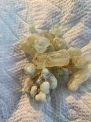ONE LB Hojari Green frankincense – Ethically sourced from Oman