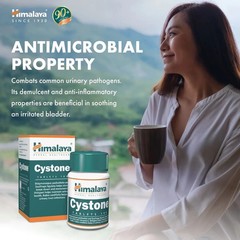 Himalaya Cystone Tablets Pack of 5 | Herbal | Free Shipping | Urinary Care