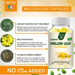 Lung Detox & Cleanse -Mullein Leaf -Respiratory Health, Digestive Support 120pcs