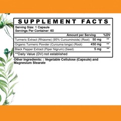 Vegan Turmeric 95% Curcuminoids & Black Pepper Garcinia Cambogia Probiotics 2PK